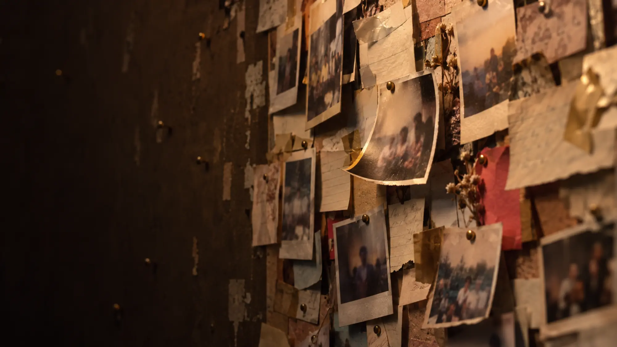 A wall of pinned photographs from past gatherings, lit from one side
